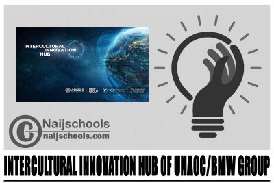 Intercultural Innovation Hub of UNAOC/BMW Group