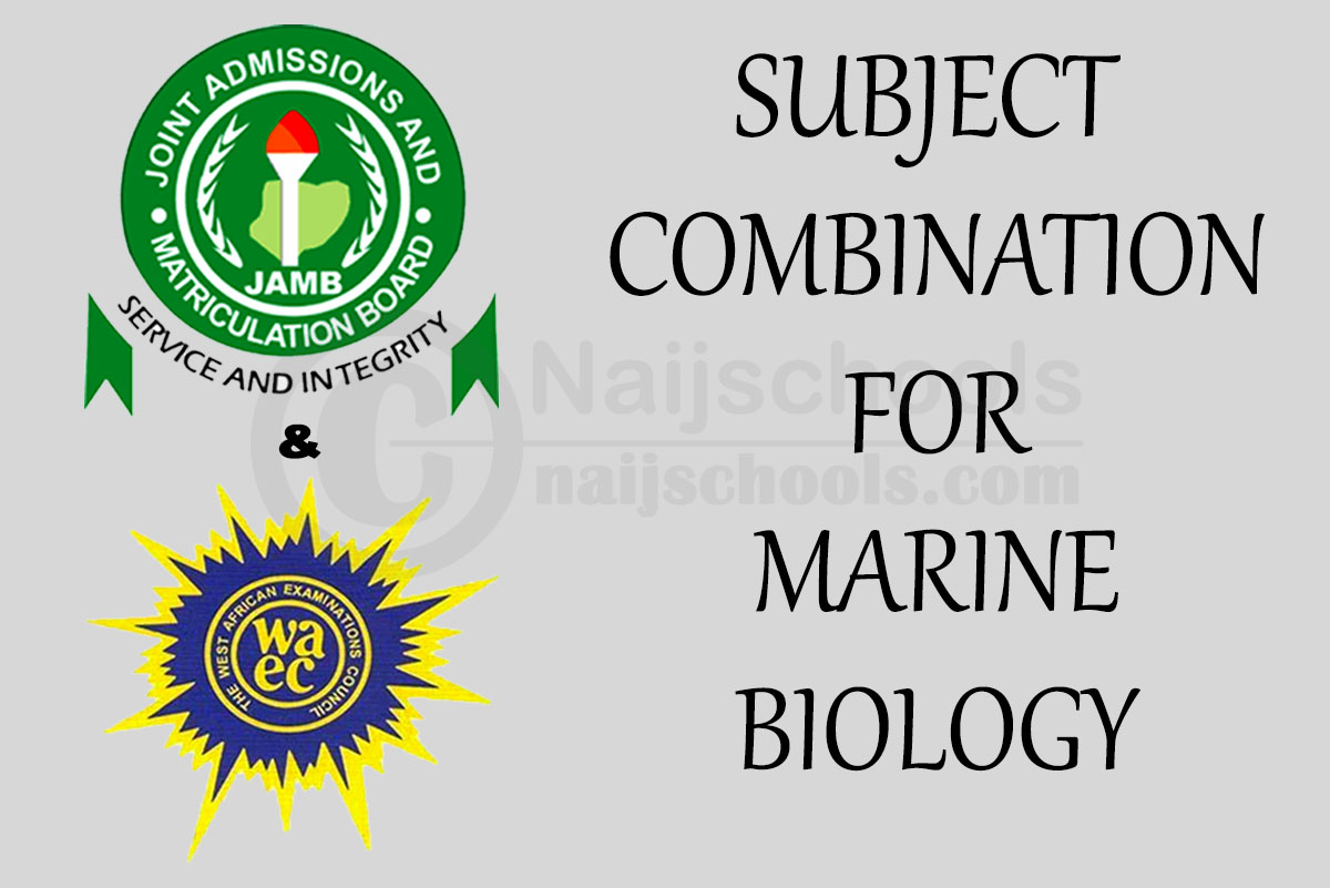 JAMB and WAEC Subject Combination for Marine Biology