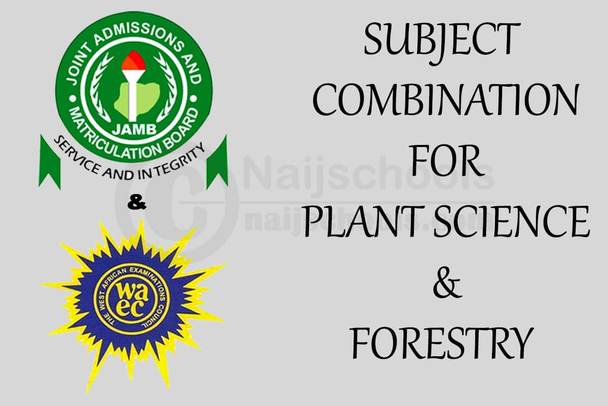 JAMB & WAEC Subject Combination for Plant Science & Forestry 