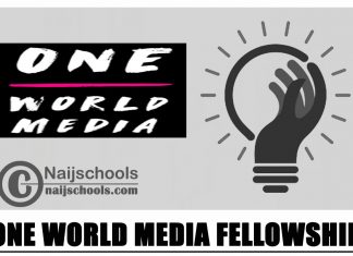 One World Media Fellowship 2024