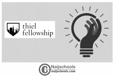 Thiel Fellowship 2024 for Innovators