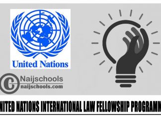 United Nations International Law Fellowship Programme 2024