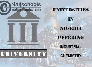Universities in Nigeria Offering Industrial Chemistry