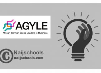 African German Young Leaders in Business (AGYLE) Program 2024