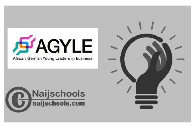  African German Young Leaders in Business (AGYLE) Program 2024