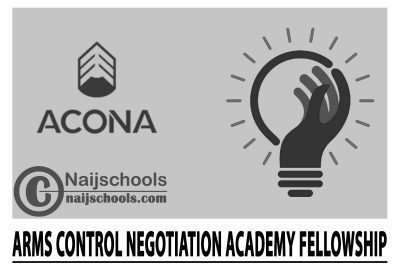  Arms Control Negotiation Academy (ACONA) Fellowship 2024