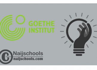 Goethe-Institut Cameroon & LIA-Leipzig International Art Programme 2024