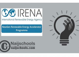 IRENA NewGen Renewable Energy Accelerator 2024