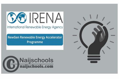IRENA NewGen Renewable Energy Accelerator 2024 