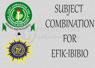 JAMB and WAEC Subject Combination for Efik-Ibibio