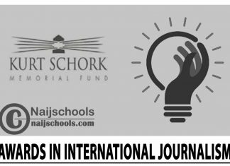 Kurt Schork Awards in International Journalism 2024