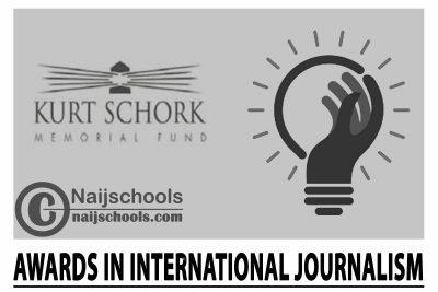 Kurt Schork Awards in International Journalism 2024