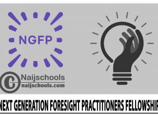 Next Generation Foresight Practitioners (NGFP) Fellowship 2024