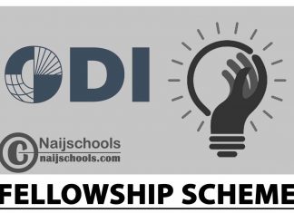Overseas Development Institute (ODI) Fellowship Scheme 2024