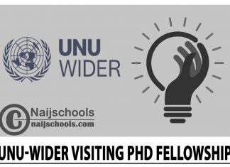 UNU-WIDER Visiting PhD Fellowship 2024