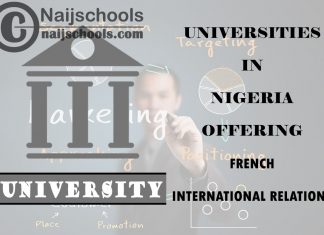 Universities in Nigeria Offering French/International Relations