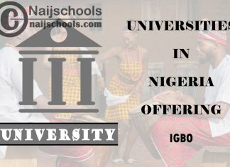 List of Universities in Nigeria Offering Igbo