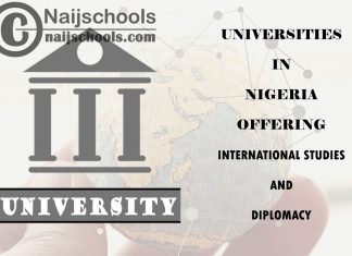 Universities in Nigeria Offering International Studies and Diplomacy
