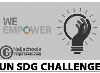 WE Empower UN SDG Challenge 2024