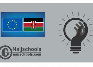 EU Young Graduates Kenya Traineeships