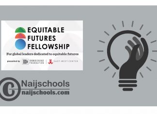 Equitable Futures Fellowship 2024