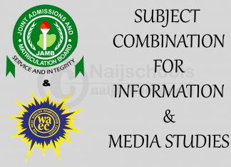 Subject Combination for Information & Media Studies