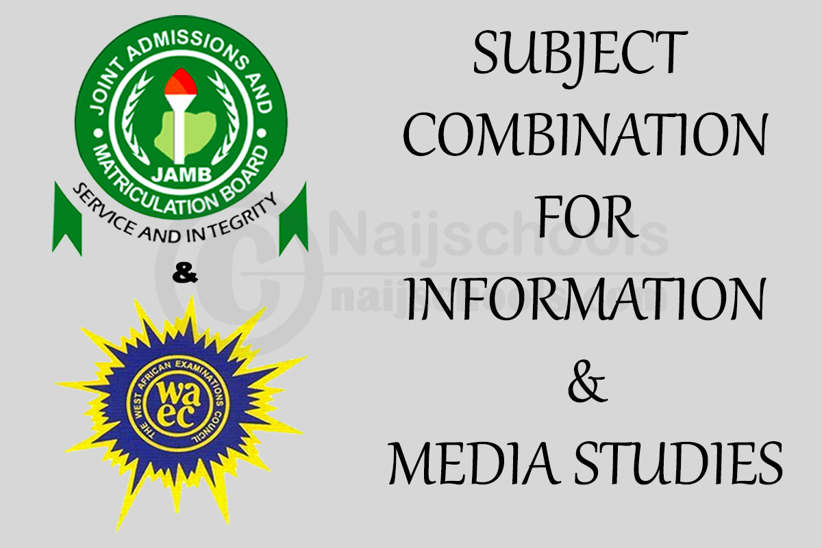 Subject Combination for Information & Media Studies