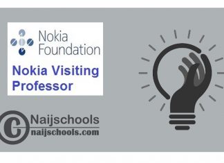 Nokia Visiting Professor Program 2024