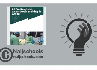 Paediatric Anaesthesia Training Africa (PATA) Fellowship – Zambia 2024/25
