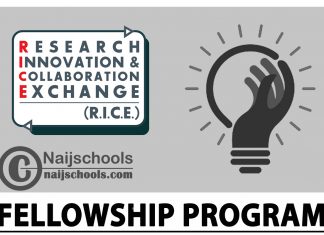 Research Innovation & Collaboration and Exchange (RICE) Fellowship Program 2024