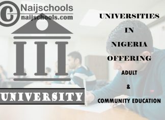 Universities in Nigeria Offering Adult & Community Education
