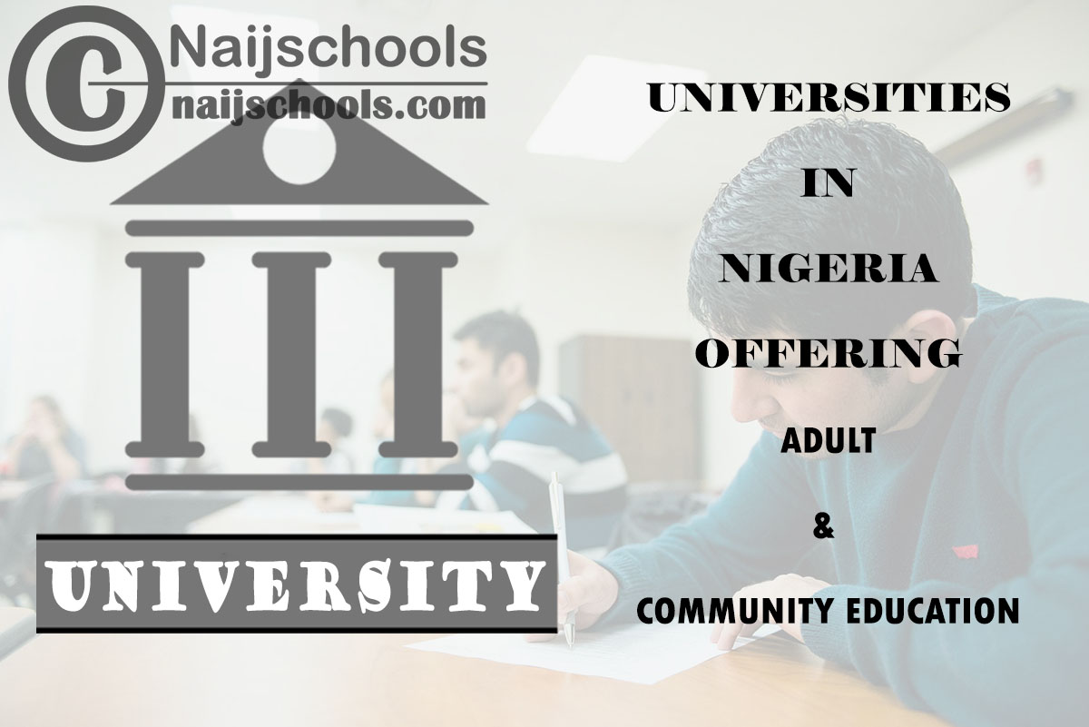Universities in Nigeria Offering Adult & Community Education 