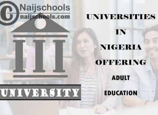 List of Universities in Nigeria Offering Adult Education