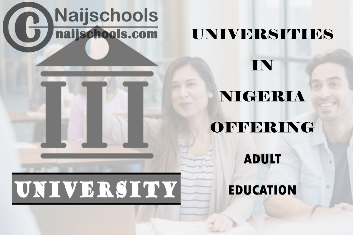 List of Universities in Nigeria Offering Adult Education
