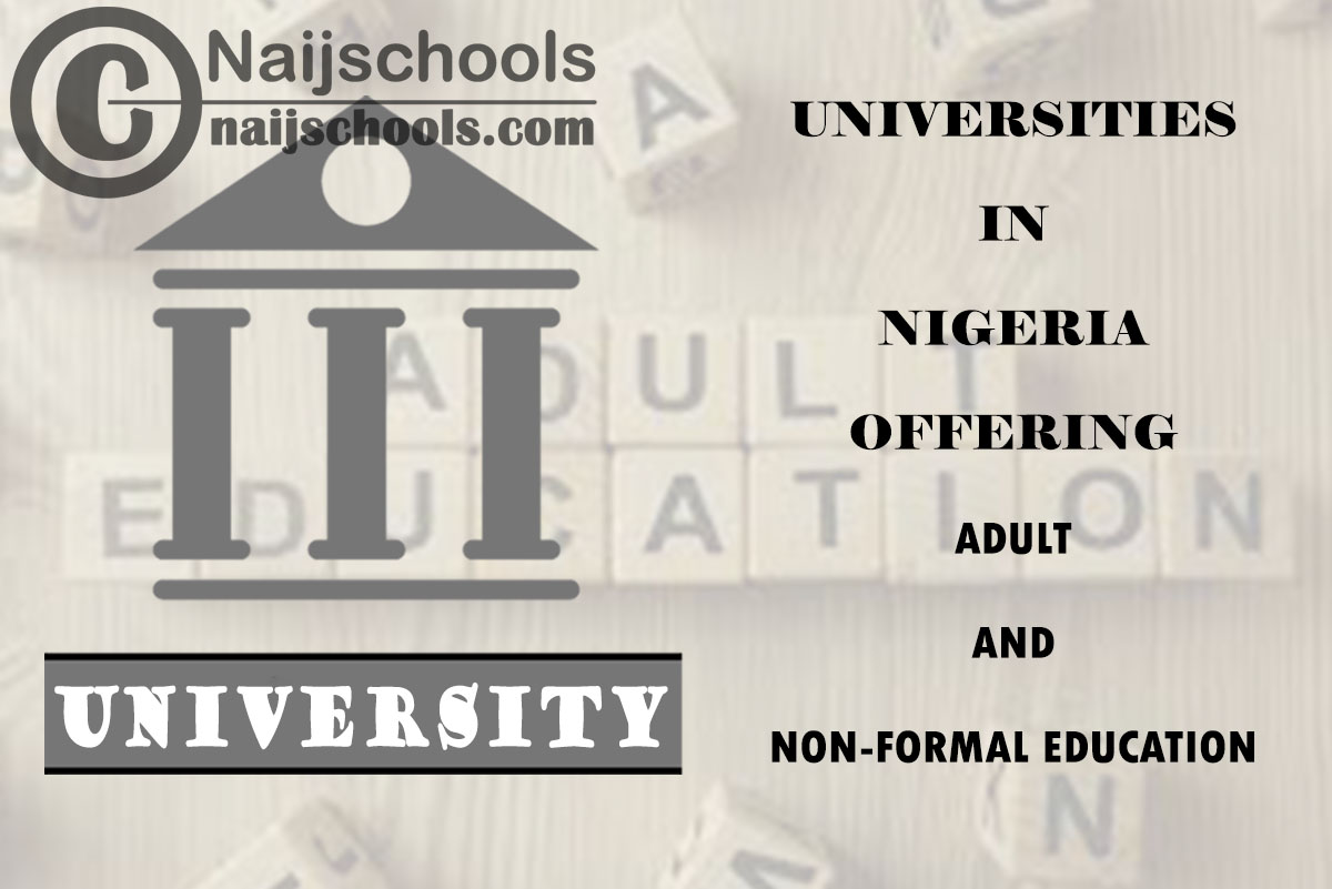 Universities in Nigeria Offering Adult and Non-Formal Education
