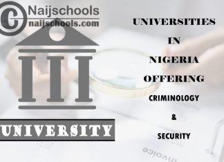 Full List of Universities in Nigeria Offering Criminology & Security