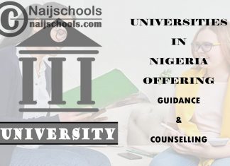 List of Universities in Nigeria Offering Guidance & Counselling