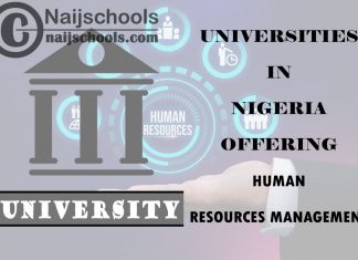 Universities in Nigeria Offering Human Resources Management