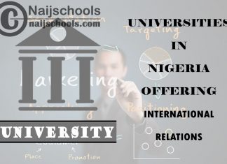 List of Universities in Nigeria Offering International Relations