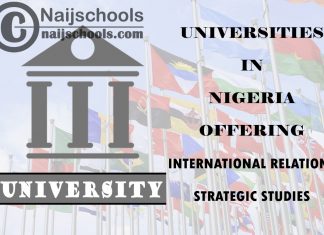 Universities Offering International Relations/Strategic Studies