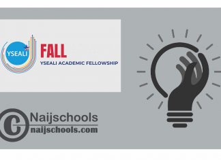 YSEALI Academic Fellowship for the 2024 Fall cohort