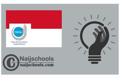 YSEALI Academic Fellowship – Indonesia 2024