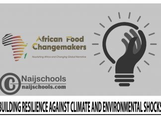 Building Resilience Against Climate and Environmental Shocks (BRACE) Program 2024