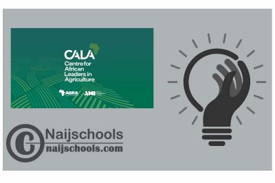 CALA Advanced Leadership Programme 2024