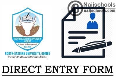 North-Eastern University Direct Entry Form