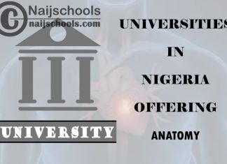 List of Universities in Nigeria Offering Anatomy