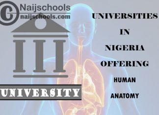 List of Universities in Nigeria Offering Human Anatomy