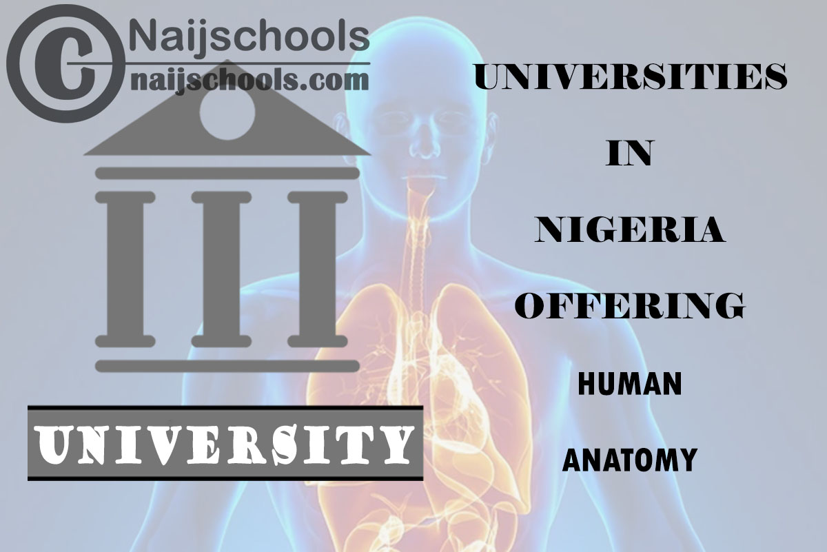 List of Universities in Nigeria Offering Human Anatomy