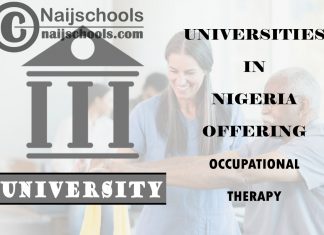 List of Universities in Nigeria Offering Occupational Therapy