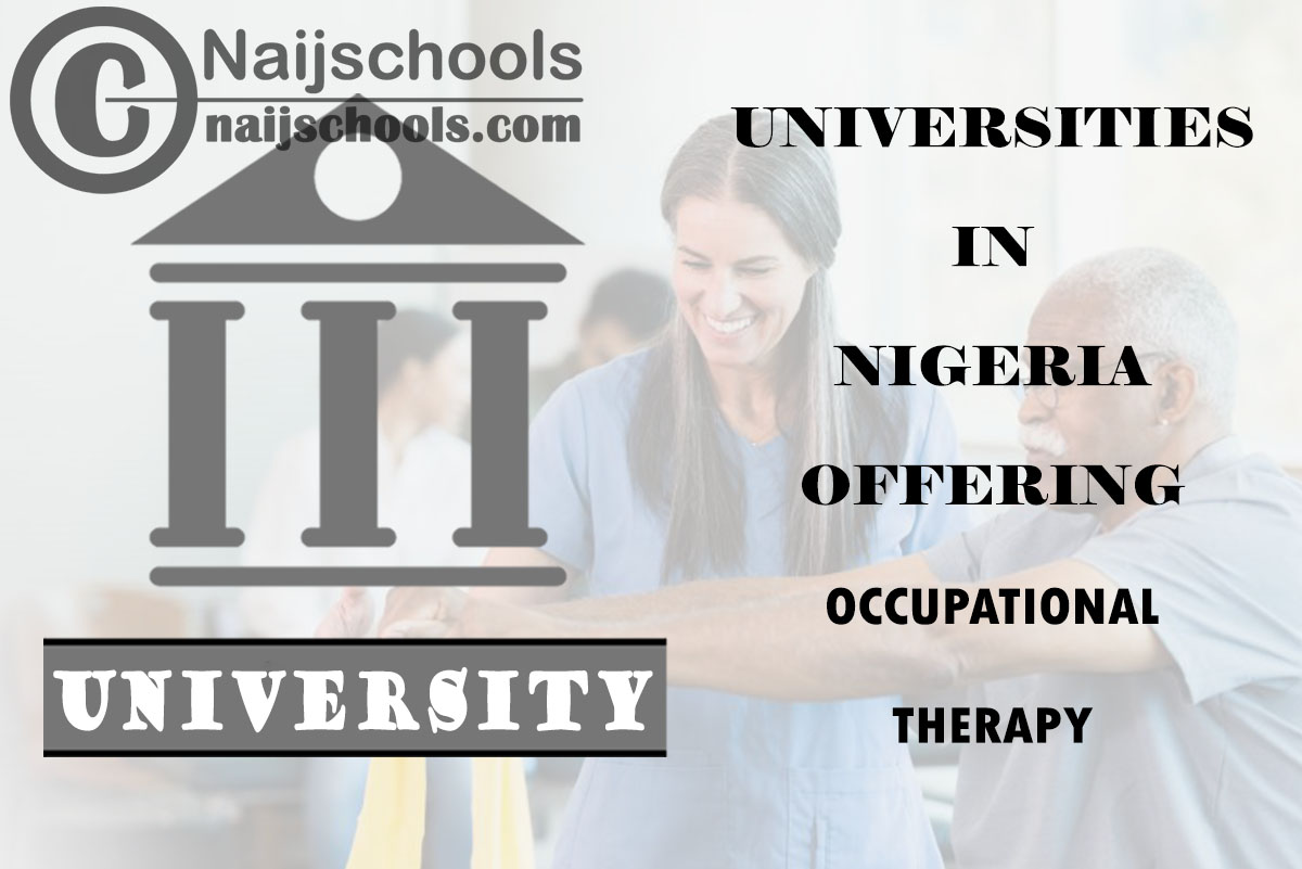 List of Universities in Nigeria Offering Occupational Therapy